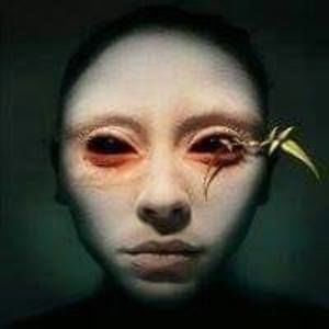 Meet your Posher, Nathan